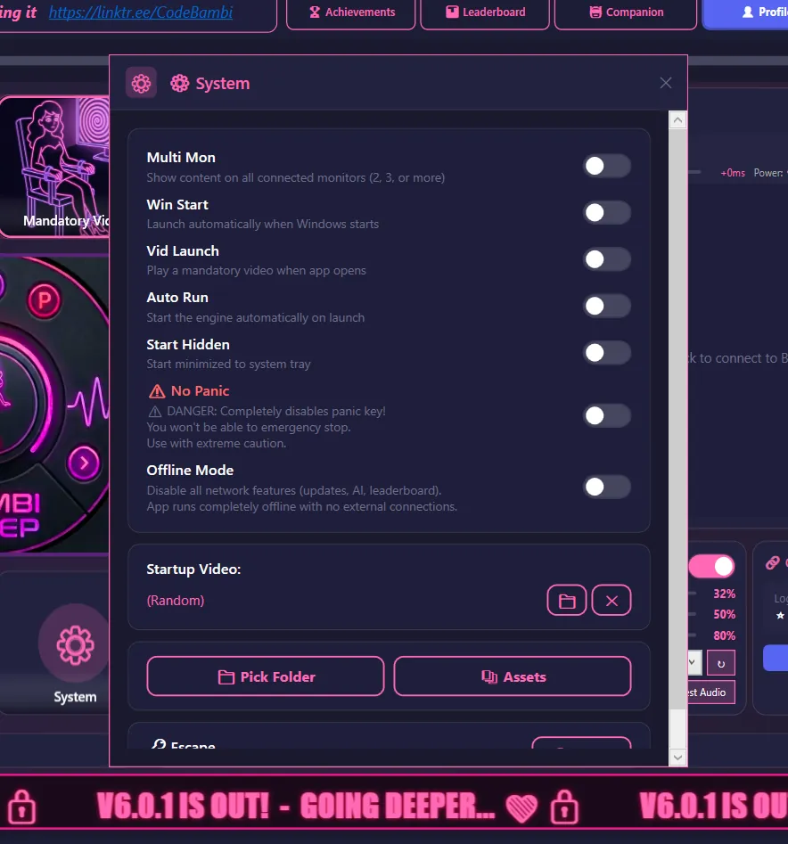 System settings window with the Multi Mon, Win Start, Vid Launch, Auto Run, Start Hidden, No Panic and Offline Mode toggles